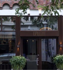 Opulent website-9